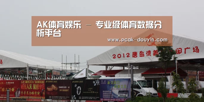 案例标题十