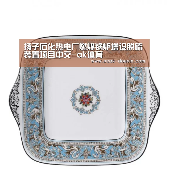 扬子石化热电厂燃煤锅炉增设脱硫装置项目中交-ak体育