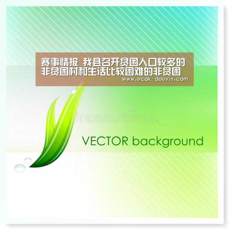 赛事情报_我县召开贫困人口较多的非贫困村和生活比较困难的非贫困户名单认定审核工作会议(图4) 赛事情报