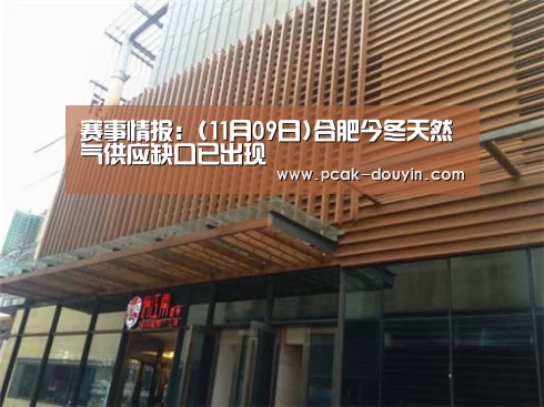 赛事情报:(11月09日)合肥今冬天然气供应缺口已出现