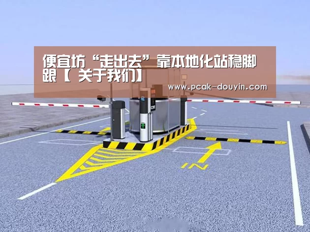 便宜坊“走出去”靠本地化站稳脚跟【 关于我们】(图3) 数据驱动