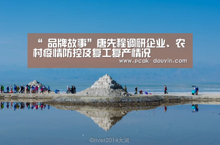 “ 品牌故事”唐先程调研企业、农村疫情防控及复工复产情况(图2) 体育数据平台