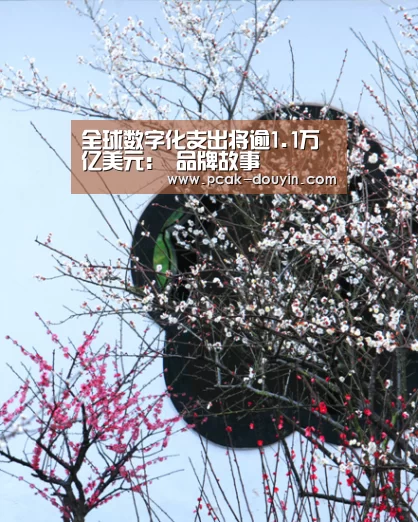 全球数字化支出将逾1.1万亿美元: 品牌故事(图3) 数据驱动