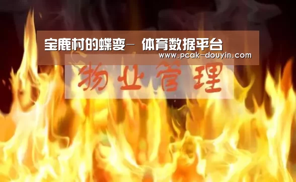 宝鹿村的蝶变- 体育数据平台