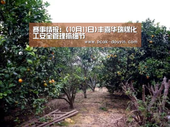  赛事情报：(10月11日)丰喜华瑞煤化工安全管理抓细节