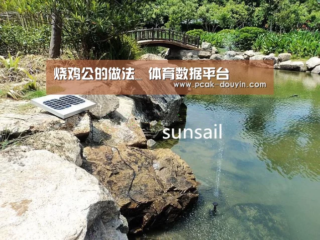 烧鸡公的做法_ 体育数据平台