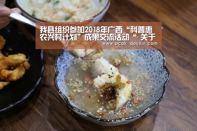 我县组织参加2018年广西“科普惠农兴村计划”成果交流活动“ 关于我们”