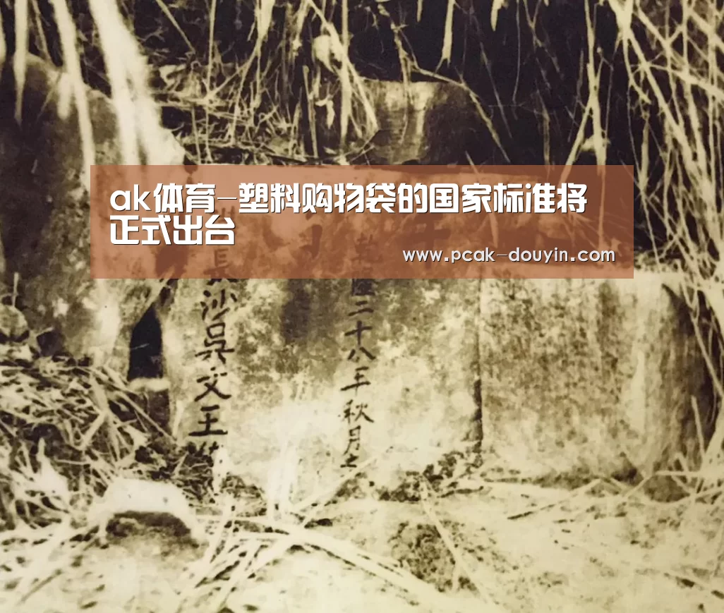 ak体育-塑料购物袋的国家标准将正式出台(图3) 关于我们