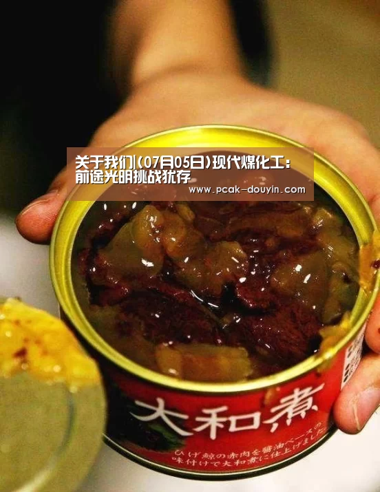 关于我们|(07月05日)现代煤化工:前途光明挑战犹存