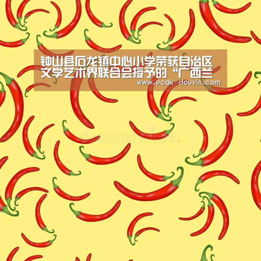  体育数据平台