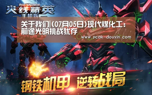 关于我们|(07月05日)现代煤化工:前途光明挑战犹存(图2) 数据驱动