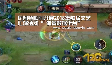 凤翔镇顺利开展2018年群众文艺汇演活动“ 体育数据平台”