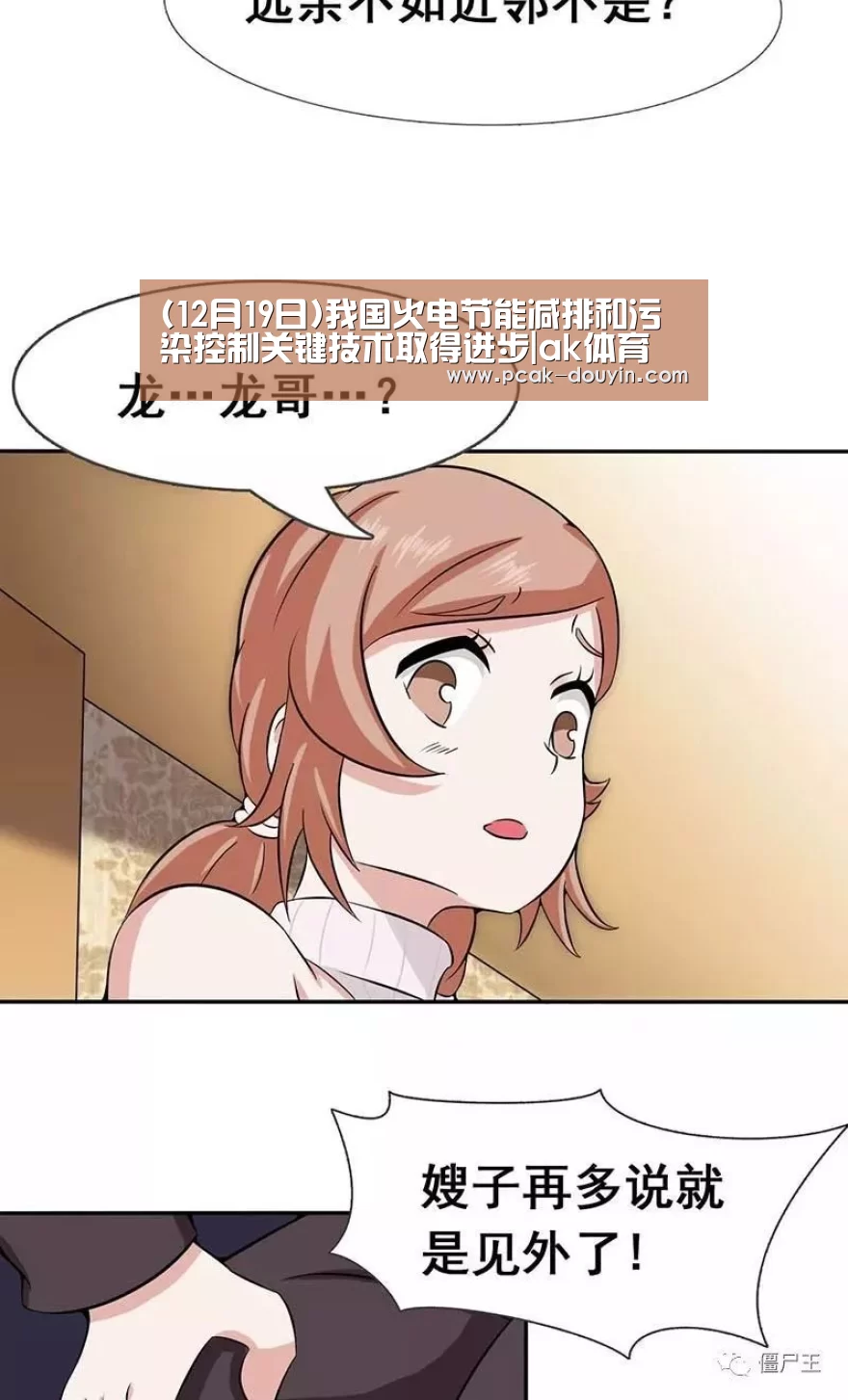 (12月19日)我国火电节能减排和污染控制关键技术取得进步|ak体育(图3) 数据驱动
