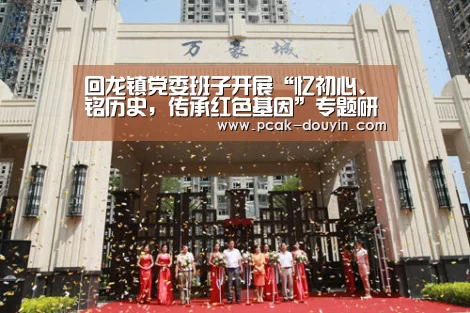 回龙镇党委班子开展“忆初心、铭历史,传承红色基因”专题研讨- 品牌故事