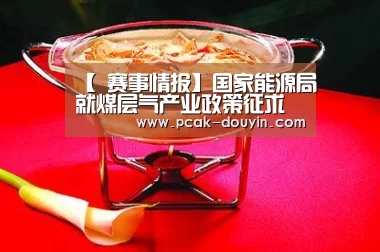 【 赛事情报】国家能源局就煤层气产业政策征求意见(图3) 品牌故事